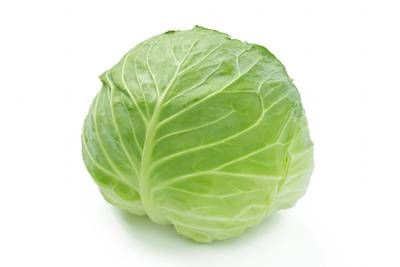 Green Cabbage 1Count
