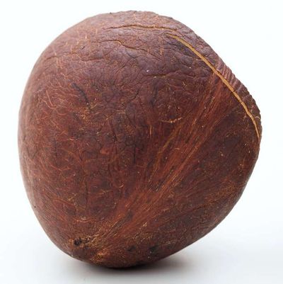 Bansi Dry Coconut Whole 1LB