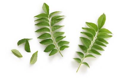 Curry Leaves 1Packet