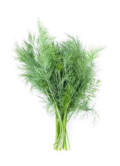 Dill Leaves 1Bunch
