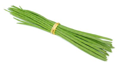 Drumstick /LB