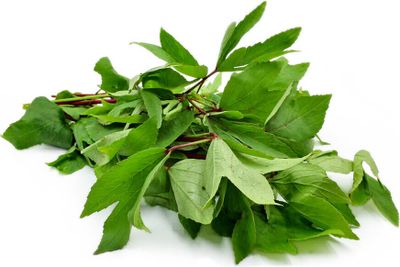 Gongura Leaves 1LB