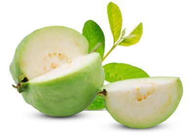 Guava