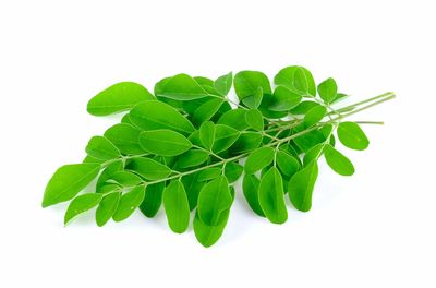 Drumsticks Leaves 0.5 LB