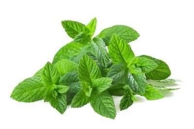 Mint 1Bunch