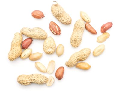 Fresh Raw Peanuts