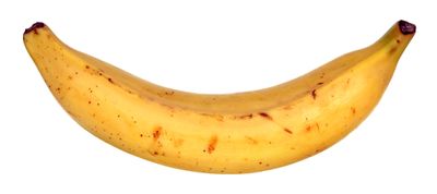 Yellow Plantain