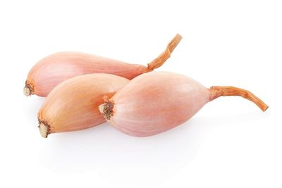 Onion Shallots 1LB