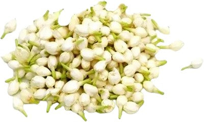 Jasmine Flowers 1 Feet