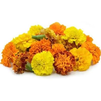Marigold Flowers (pack)