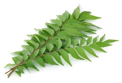 Curry Leaves  0.25 LB