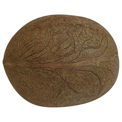 Dry Whole Coconut 1PC