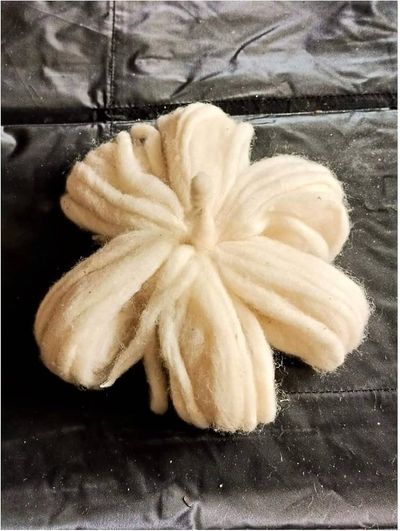 Cotton Wicks (Flower)