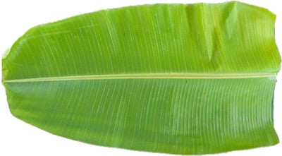 Fresh Banana Leaves (Full)