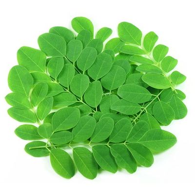 Drumstick Leaves (Moringa Leaves) 1Pack