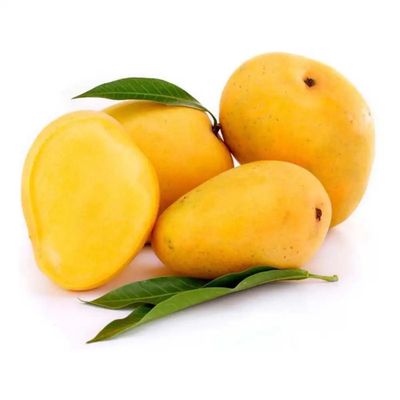 Kesar Premium Mango Box