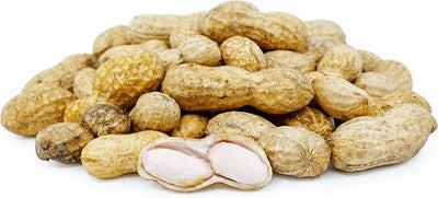 Fresh Peanuts