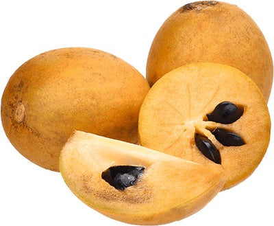 Chikoo (Sapota) Fruit 1LB