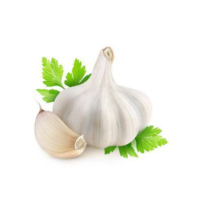 Garlic 5Count