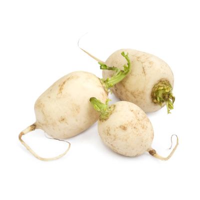 White Turnip