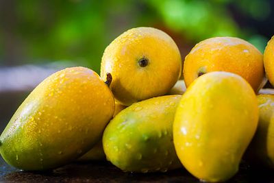 Kesar Mango - 3 Kg